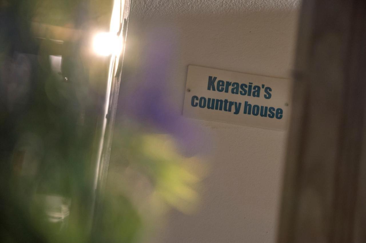 Appartamento Kerasia'S Country House Volos Esterno foto